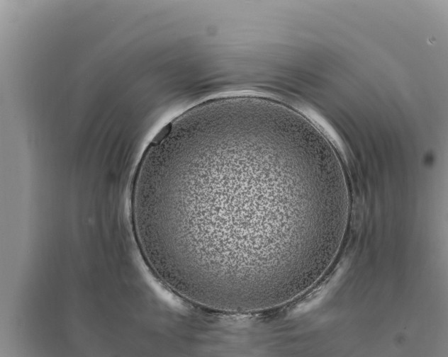 X0000094340813200711091427