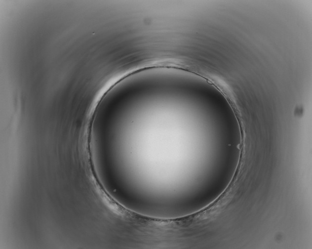 X0000094340816200711091427