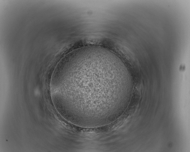 X0000094340817200711091426