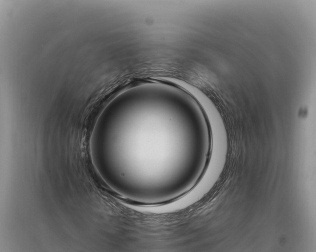 X0000094340818200711091426