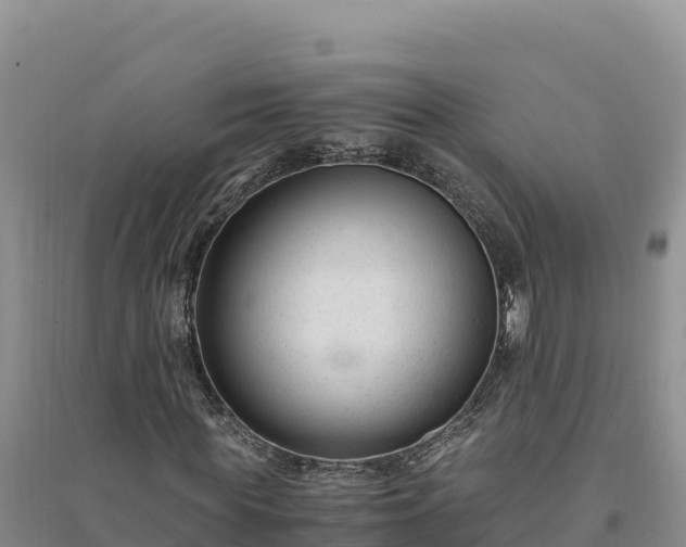 X0000094340819200711091426