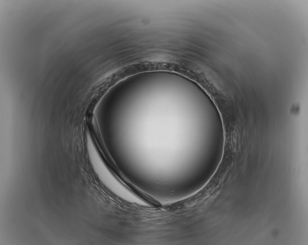 X0000094340821200711091426
