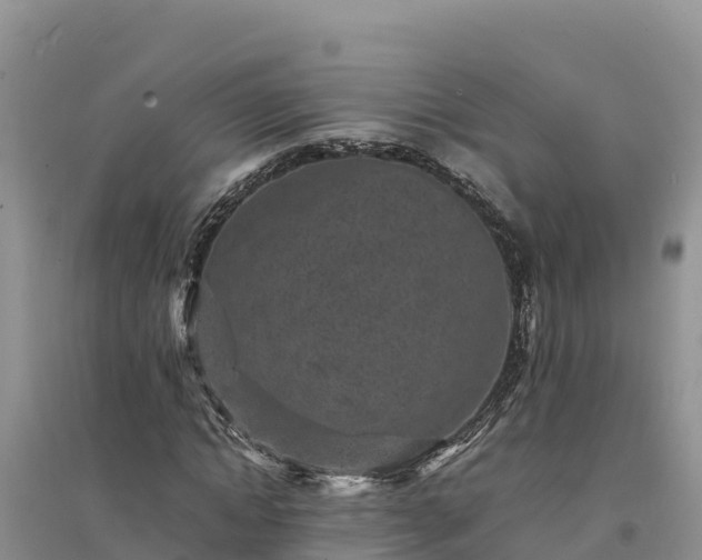 X0000094340822200711091427