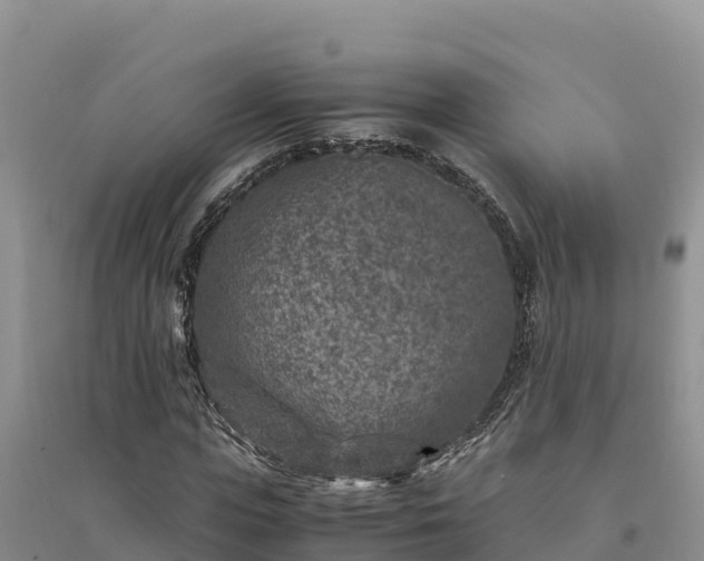 X0000094340823200711091427