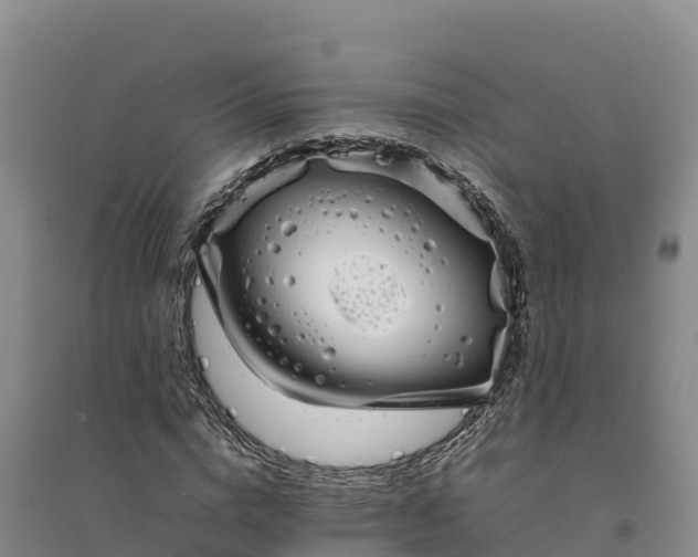 X0000094340824200711091427