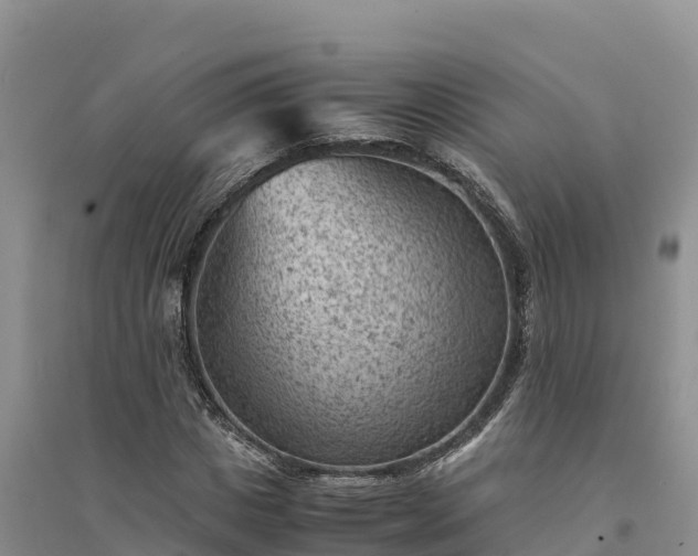 X0000094340825200711091427