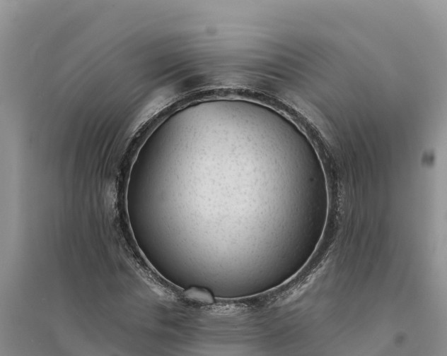 X0000094340826200711091427