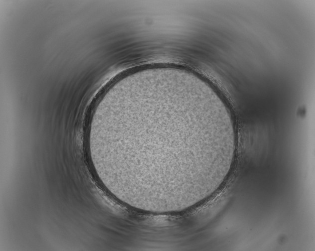 X0000094340828200711091427