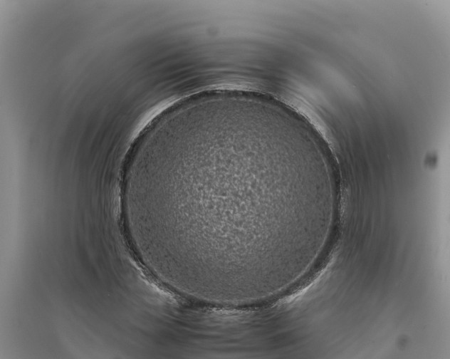 X0000094340829200711091427