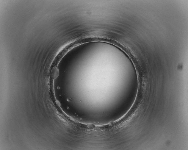 X0000094340830200711091427