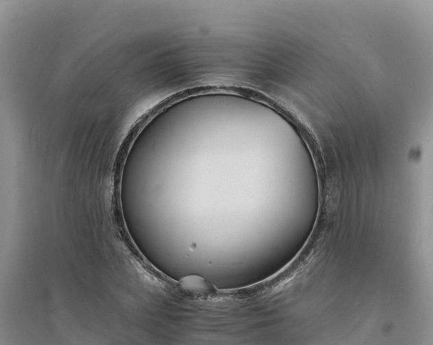 X0000094340831200711091427