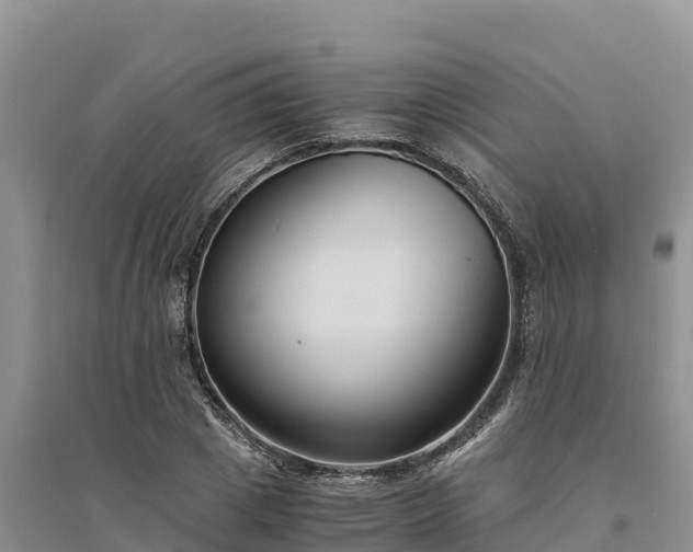 X0000094340833200711091427