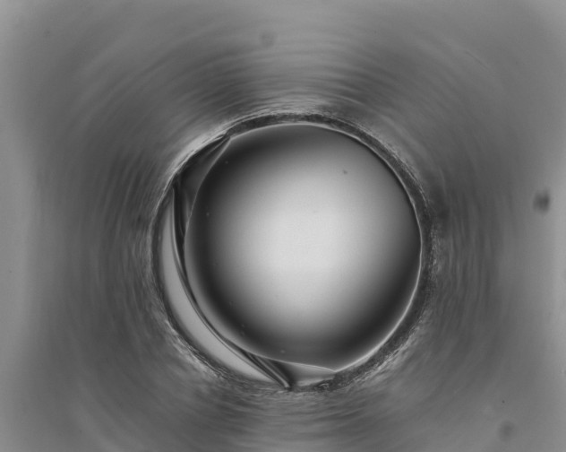 X0000094340834200711091427