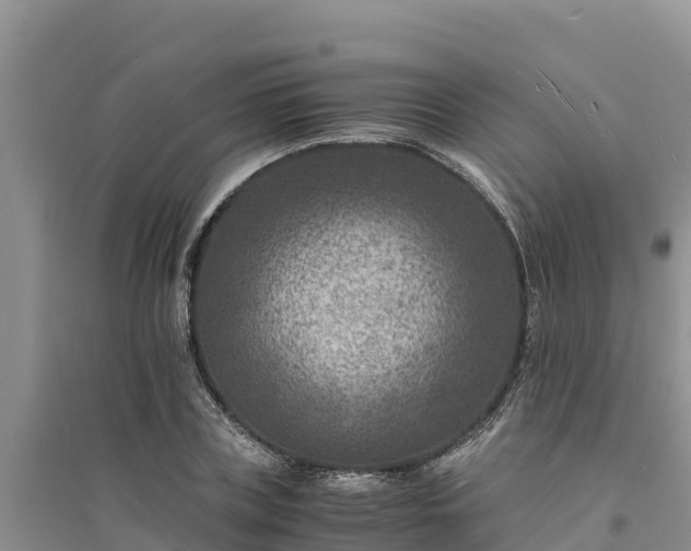 X0000094340835200711091427