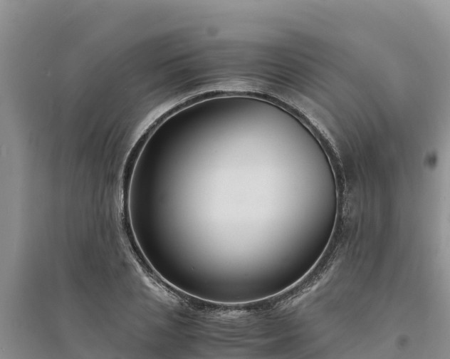 X0000094340837200711091427