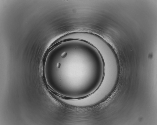X0000094340838200711091427