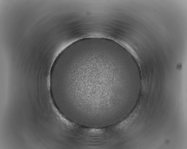 X0000094340839200711091427