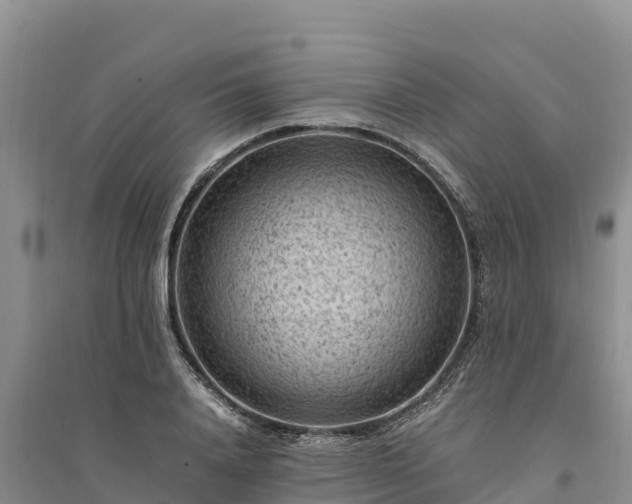 X0000094340840200711091427