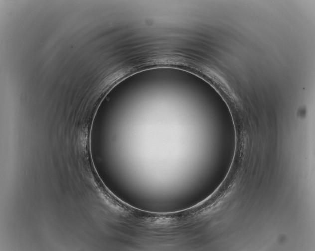 X0000094340841200711091427