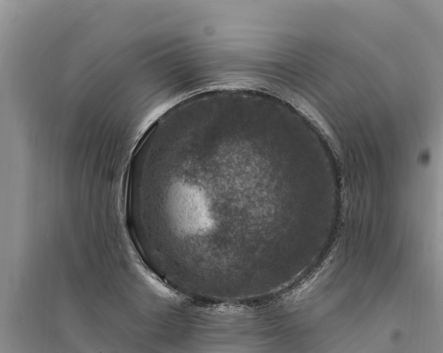 X0000094340842200711091427