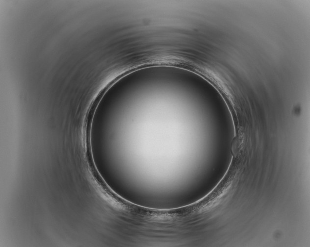 X0000094340843200711091427