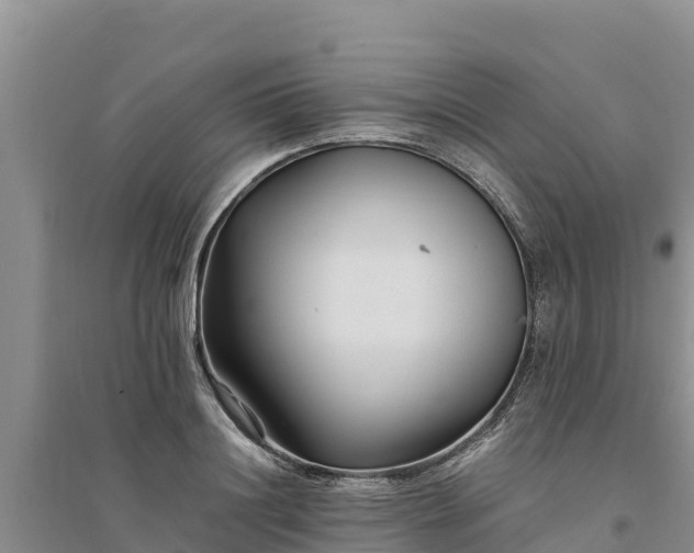 X0000094340844200711091427