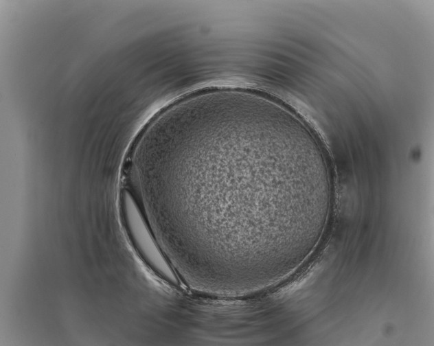 X0000094340845200711091427
