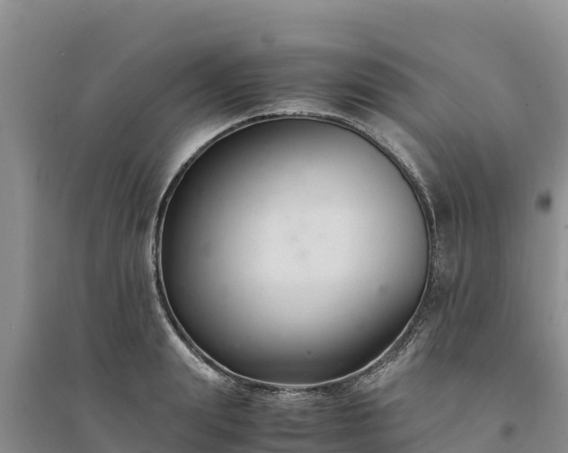 X0000094340847200711091427