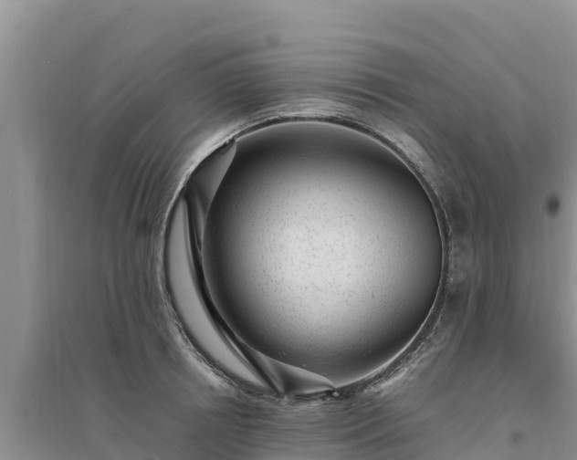 X0000094340850200711091427