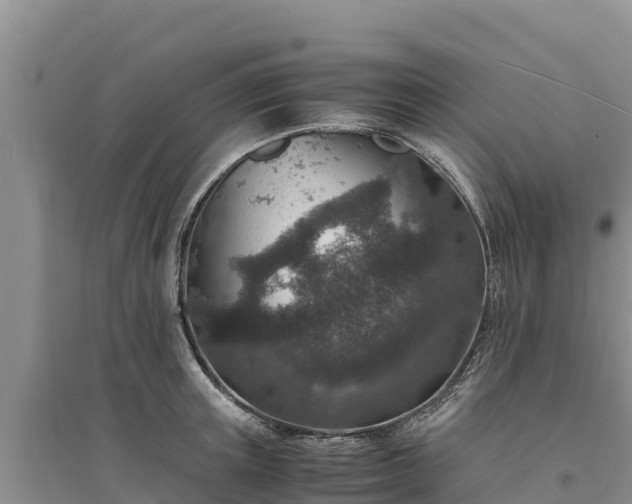 X0000094340851200711091427
