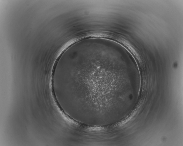 X0000094340853200711091427