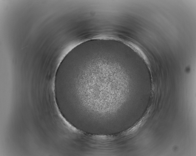 X0000094340855200711091427
