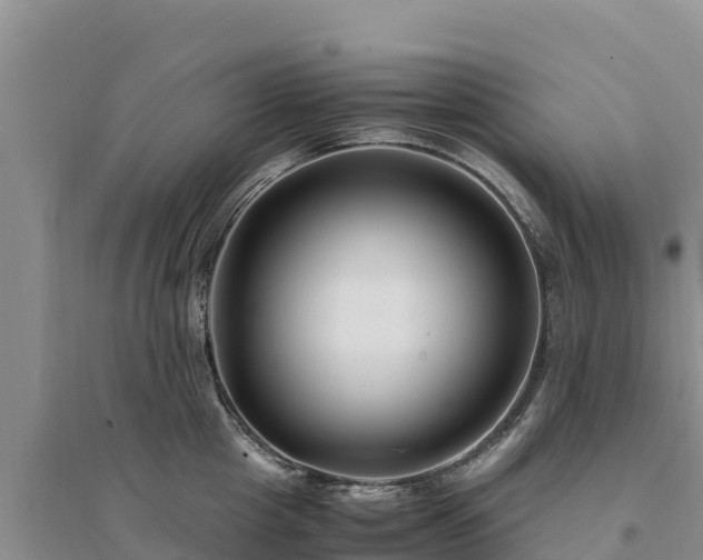 X0000094340857200711091427