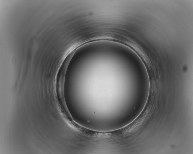 X0000094340858200711091427