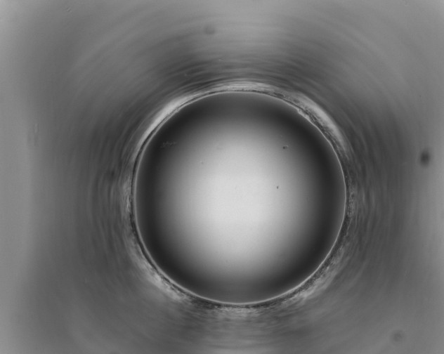 X0000094340860200711091427