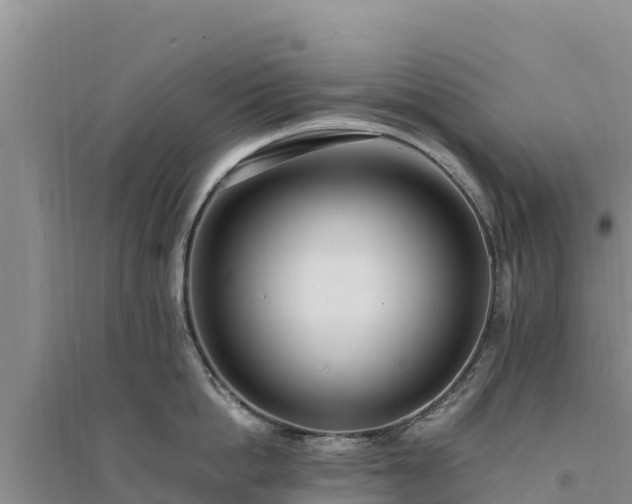 X0000094340862200711091427