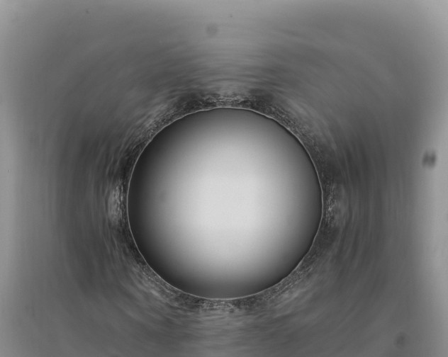 X0000094340866200711091426