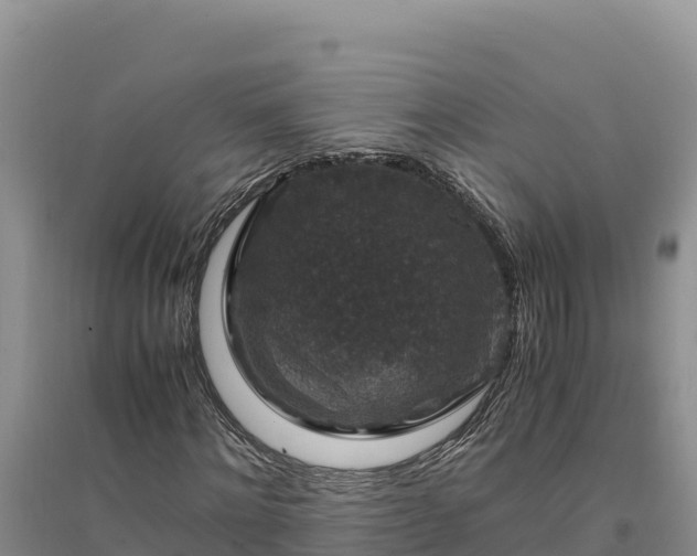 X0000094340868200711091426