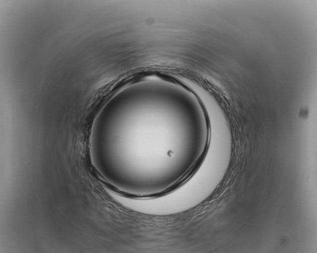 X0000094340869200711091426
