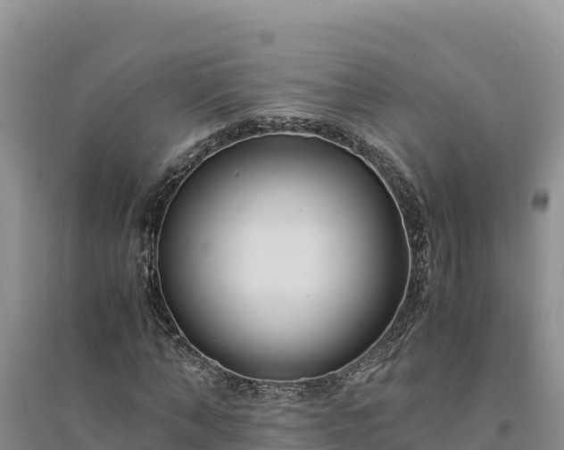 X0000094340870200711091426