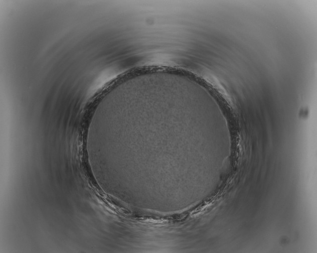 X0000094340872200711091426