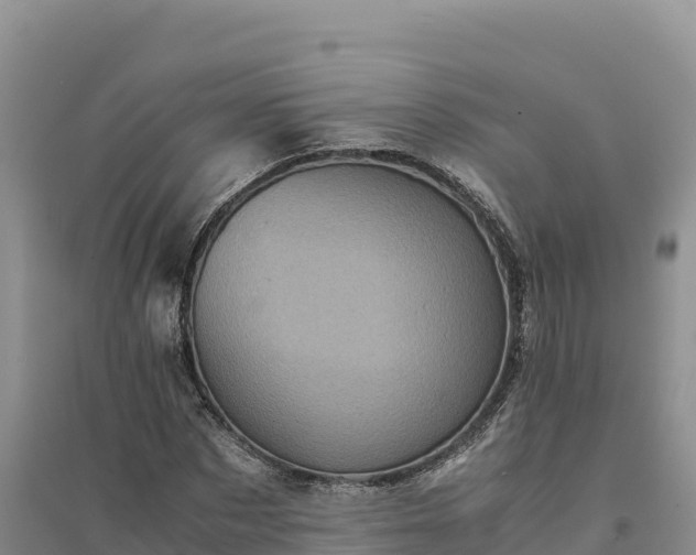 X0000094340873200711091426