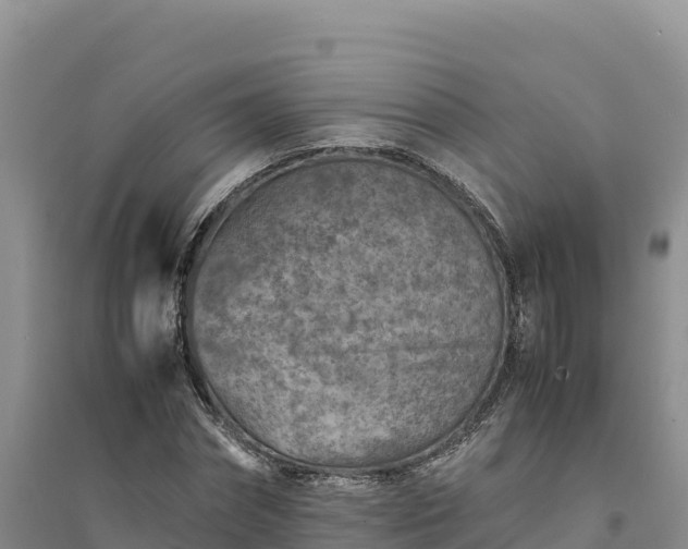 X0000094340874200711091426