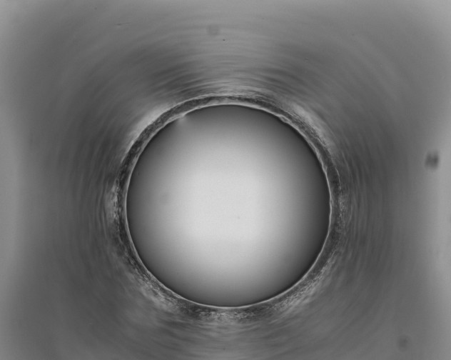 X0000094340875200711091426