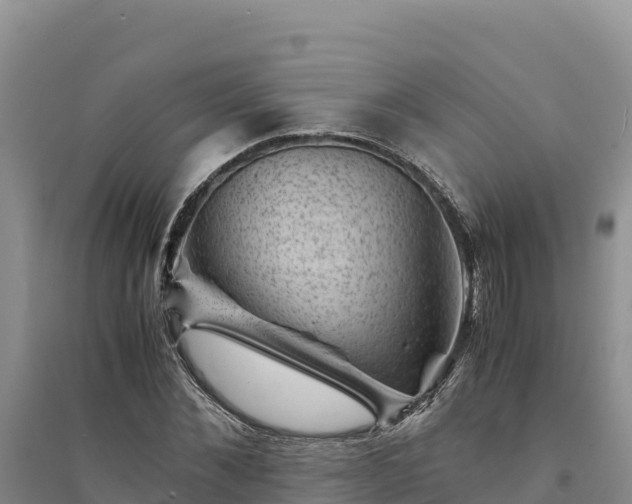 X0000094340876200711091426