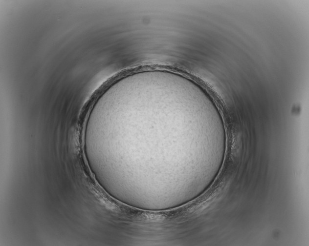 X0000094340878200711091426
