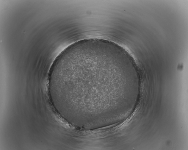 X0000094340879200711091426