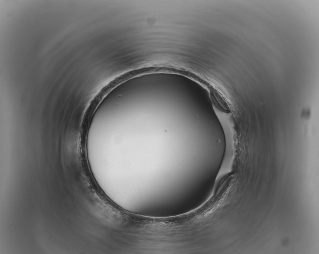 X0000094340880200711091426