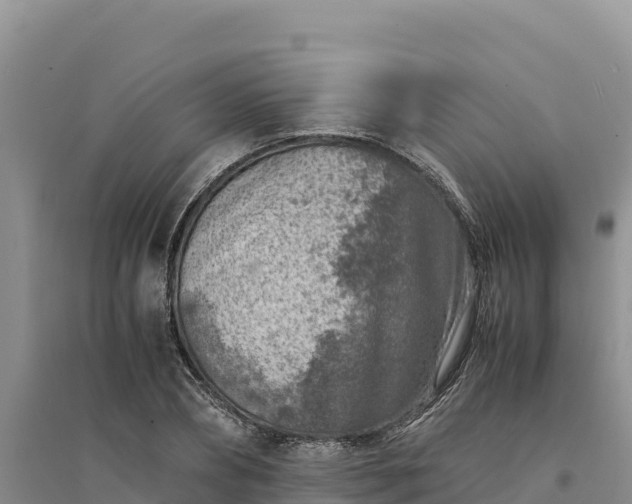X0000094340882200711091426