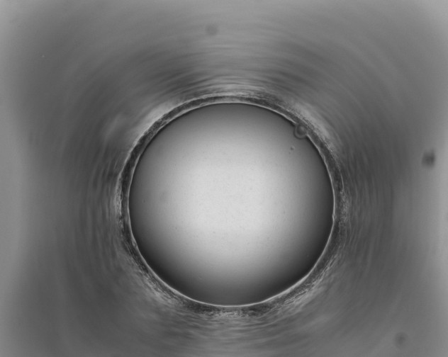 X0000094340883200711091426